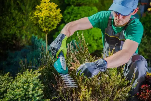 landscaping services Bingham Farms